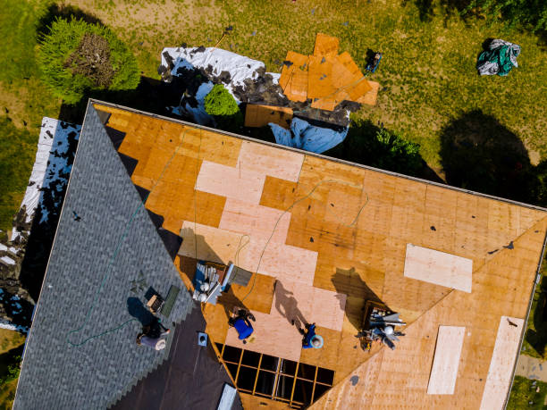 Best Metal Roofing Contractor  in Camden, AR