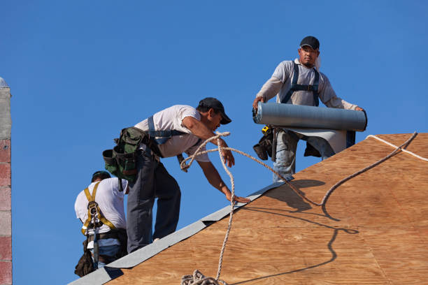 Best Commercial Roofing Services  in Camden, AR